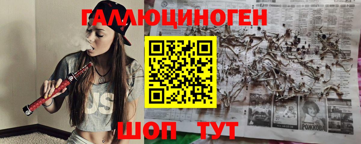 Псилоцибиновые грибы Magic Shrooms Таганрог